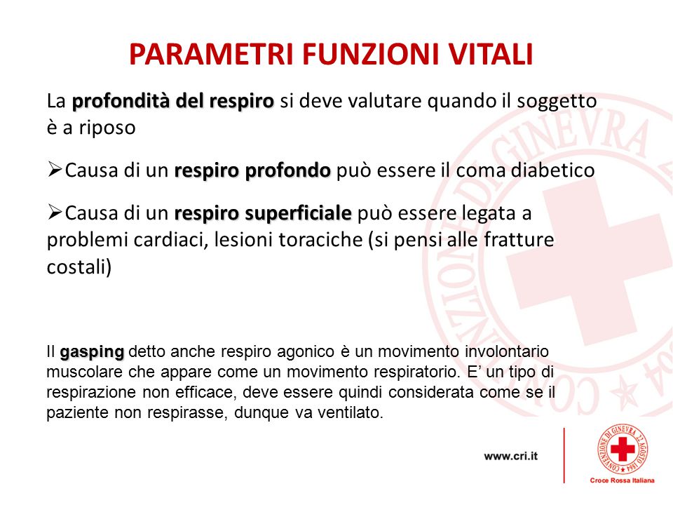 PARAMETRI VITALI Modulo 1 Lezione D Croce Rossa Italiana Ppt Scaricare